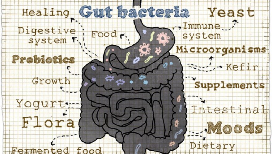 Ways to Improve Your Microbiome